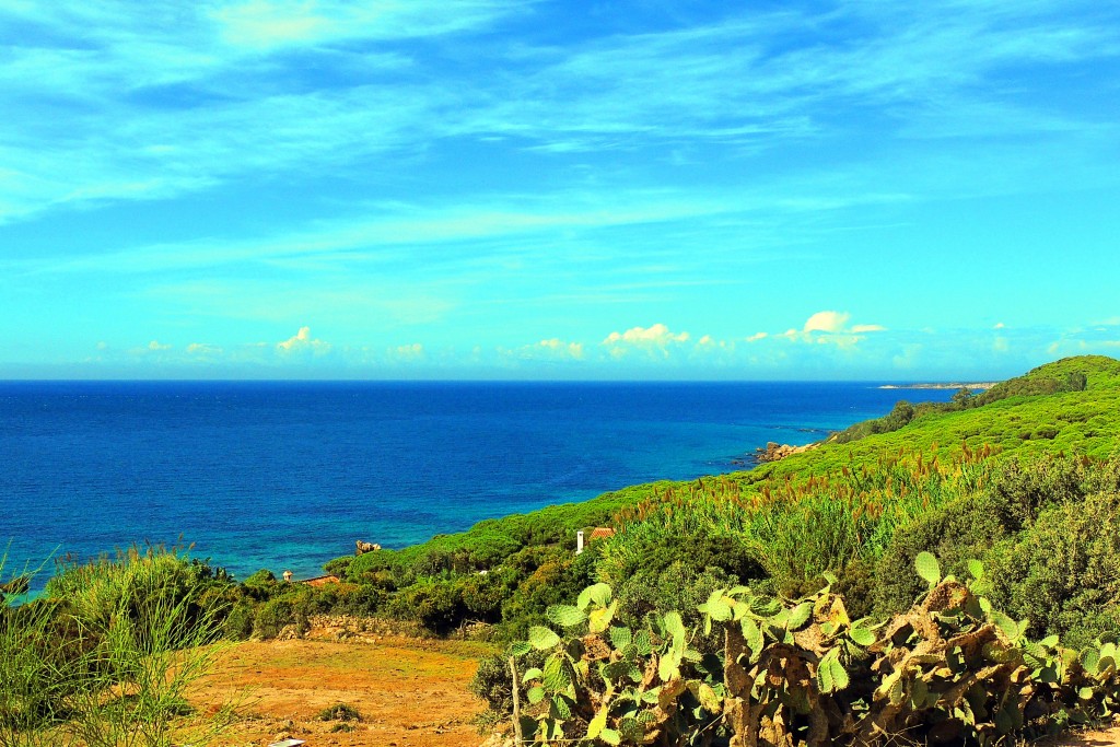 Foto de Punta Paloma (Cádiz), España