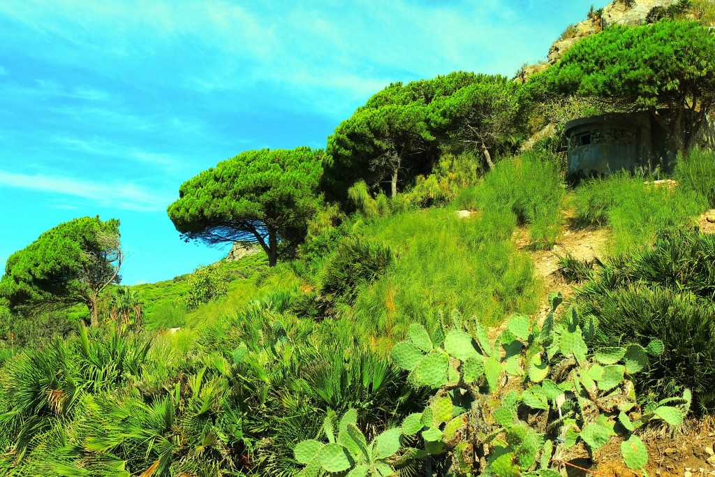 Foto de Punta Paloma (Cádiz), España