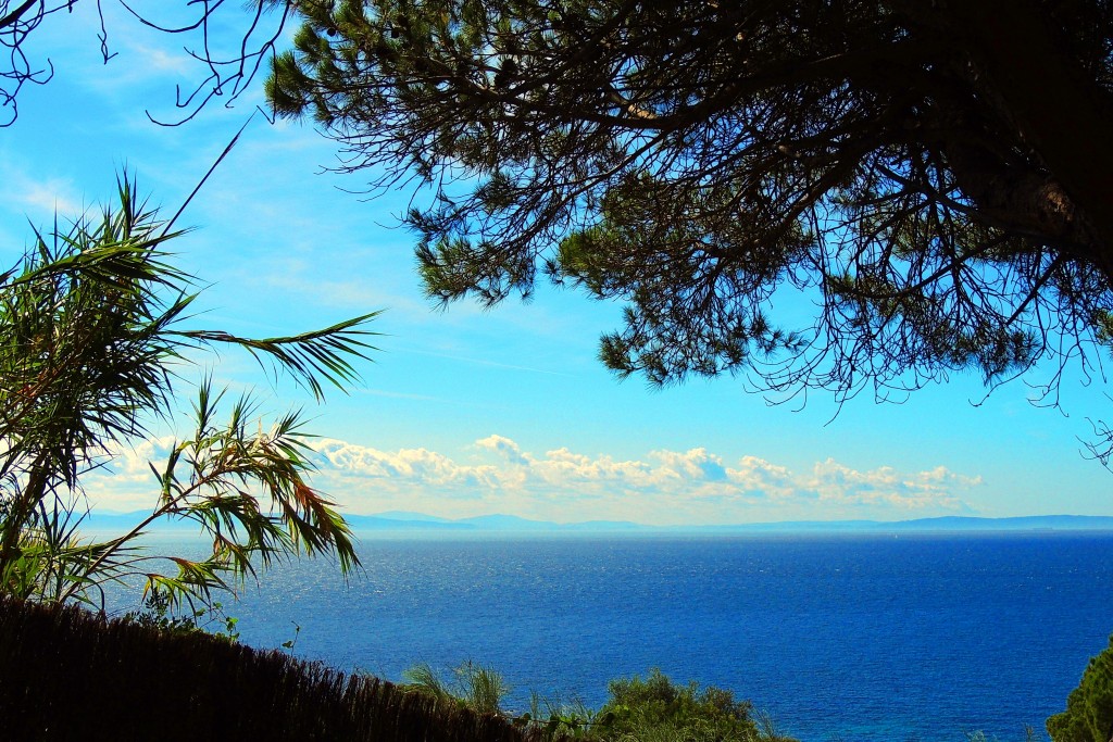 Foto de Punta Paloma (Cádiz), España