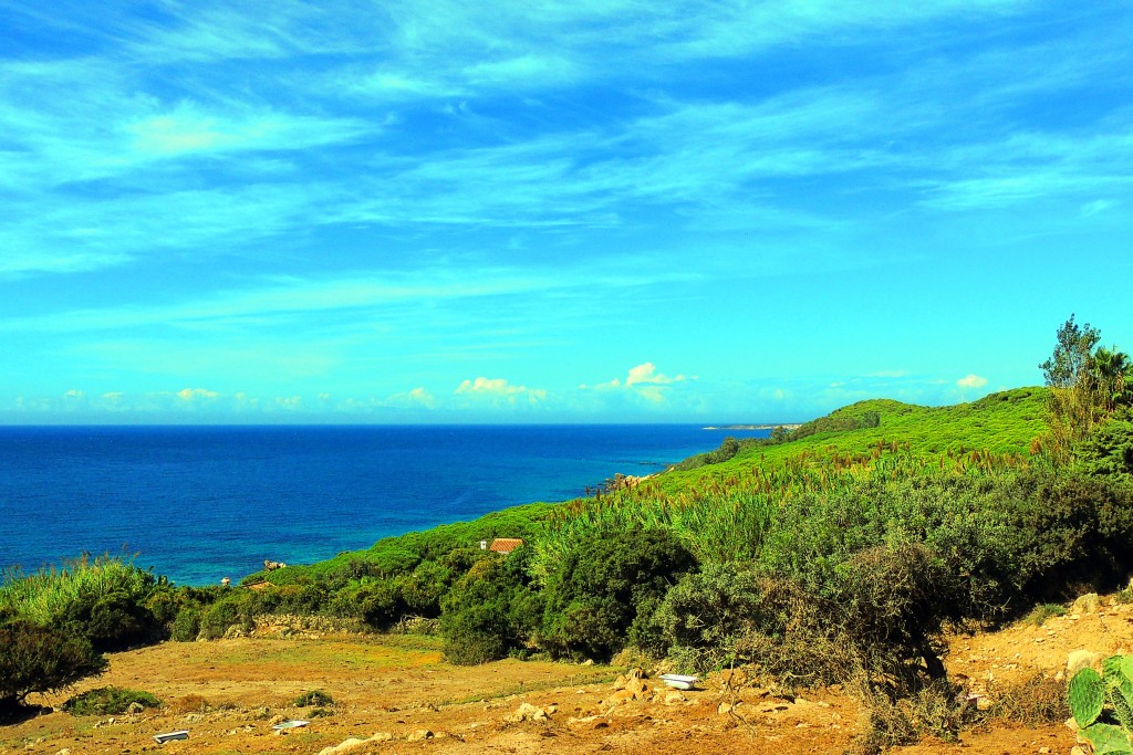 Foto de Punta Paloma (Cádiz), España