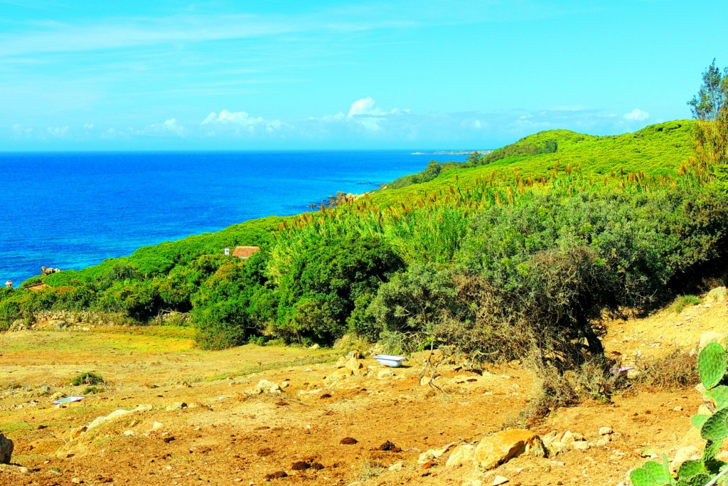 Foto de Punta Paloma (Cádiz), España