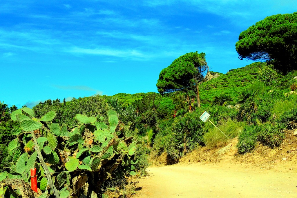 Foto de Punta Paloma (Cádiz), España