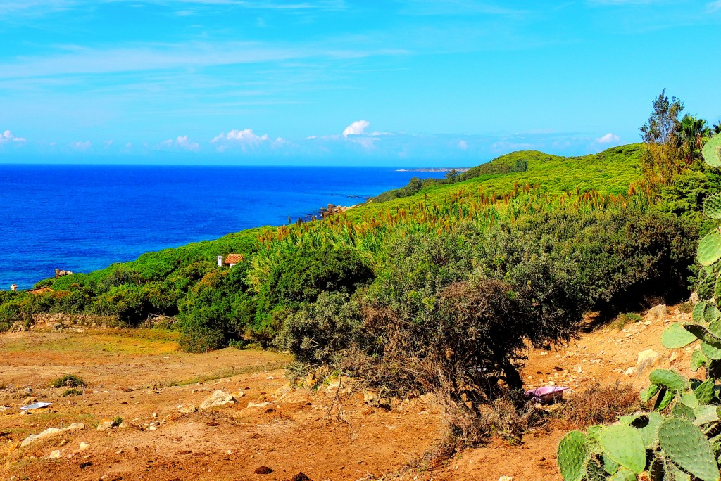 Foto de Punta Paloma (Cádiz), España