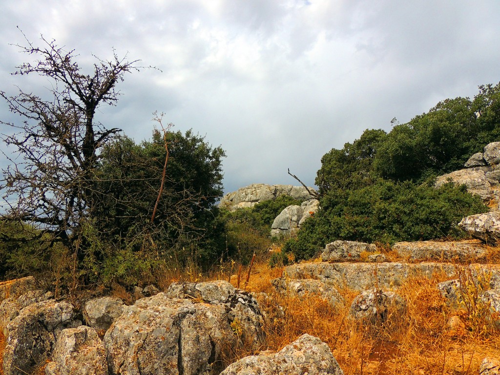 Foto de Antequera (Málaga), España