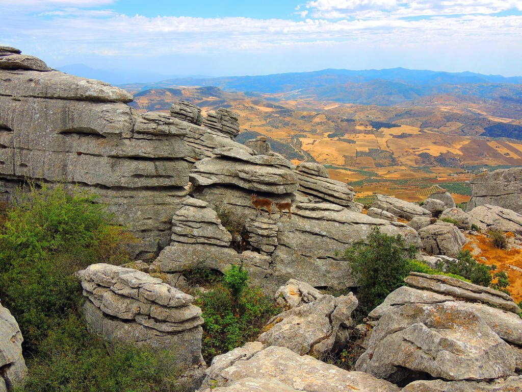Foto de Antequera (Málaga), España