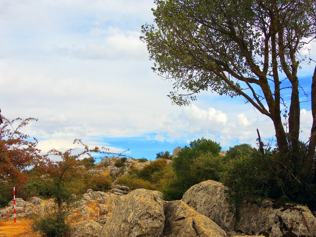 Foto de Antequera (Málaga), España