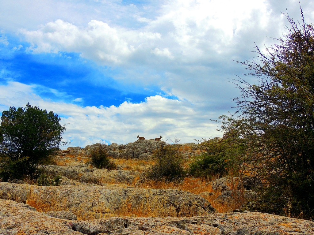 Foto de Antequera (Málaga), España