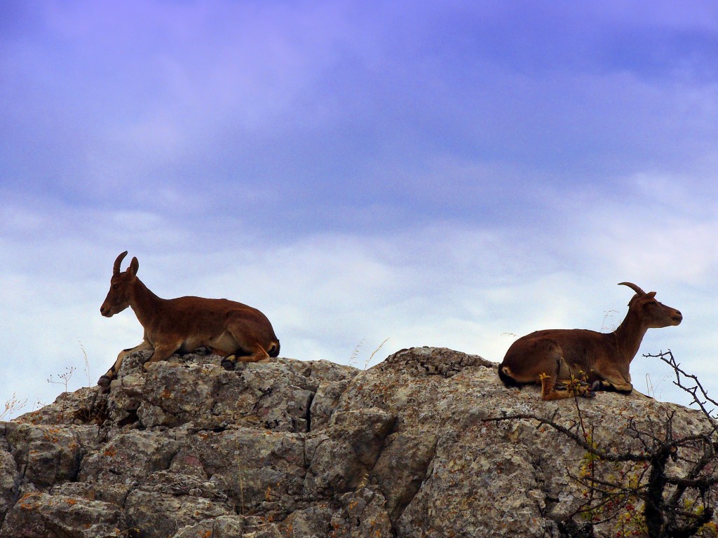 Foto de Antequera (Málaga), España