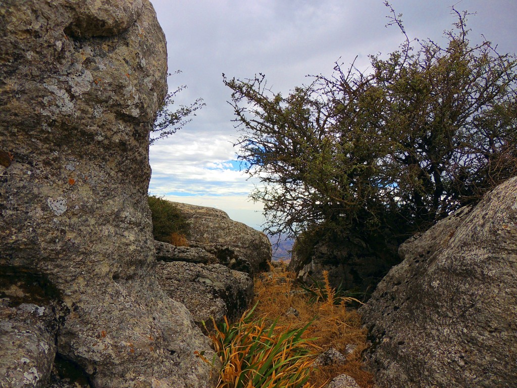 Foto de Antequera (Málaga), España