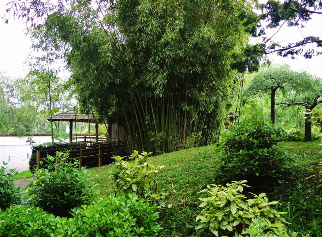 Foto: Jardin Japonais - Toulouse (Midi-Pyrénées), Francia