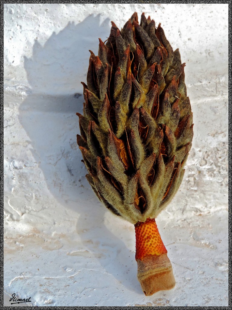 Foto: 141116-02 PARQUE ZARAGOZA - Zaragoza (Aragón), España