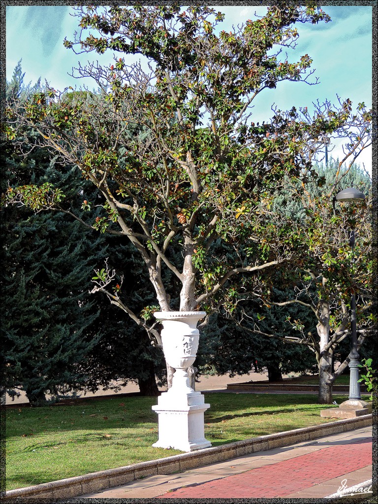 Foto: 141116-22 PARQUE ZARAGOZA - Zaragoza (Aragón), España