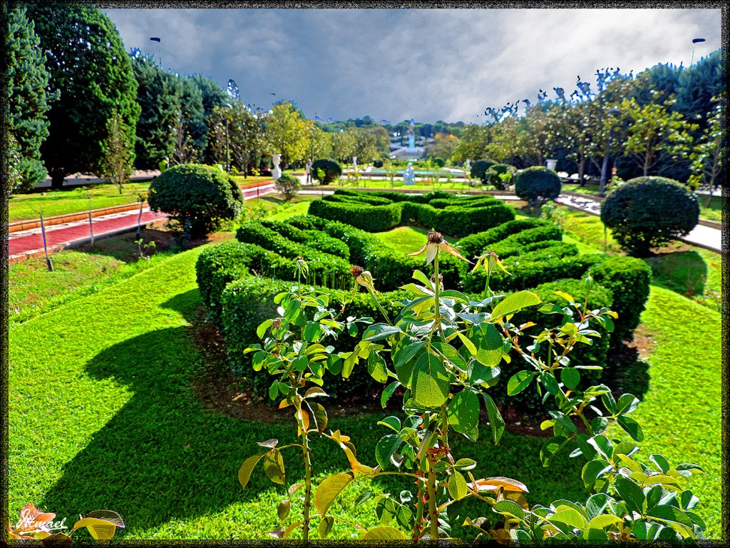 Foto: 141116-24 PARQUE ZARAGOZA - Zaragoza (Aragón), España