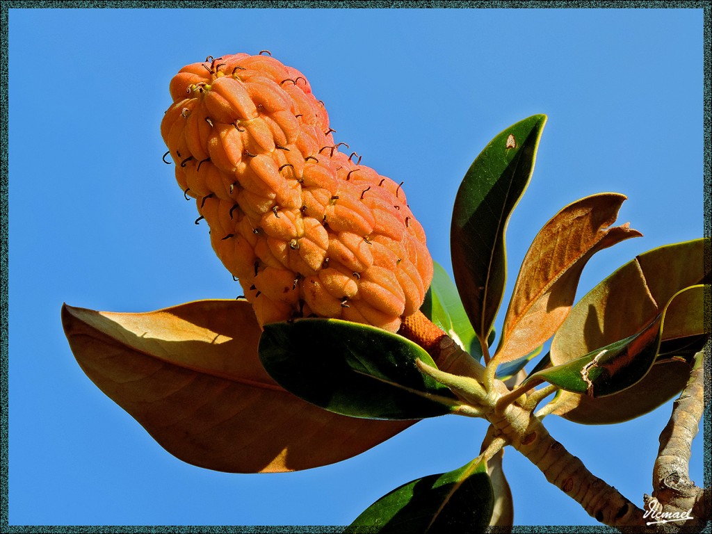 Foto: 141116-26 PARQUE ZARAGOZA - Zaragoza (Aragón), España