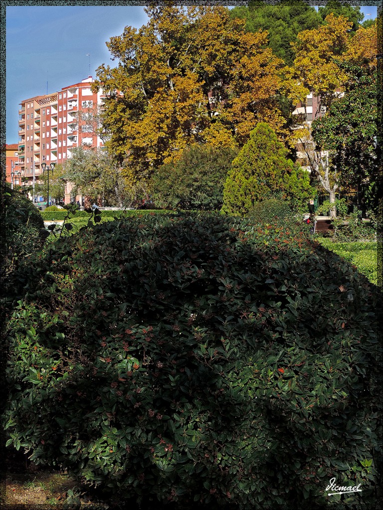 Foto: 141116-27 PARQUE ZARAGOZA - Zaragoza (Aragón), España