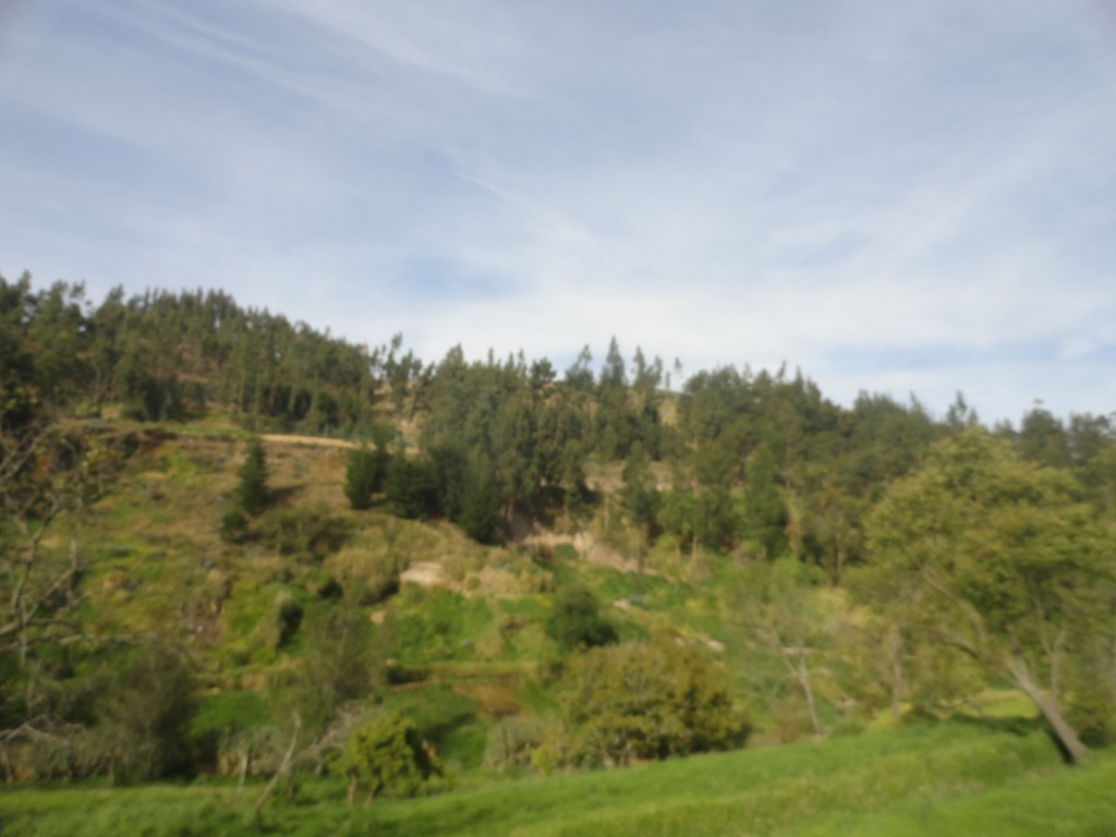 Foto: Paisaje - Chimborazo, Ecuador