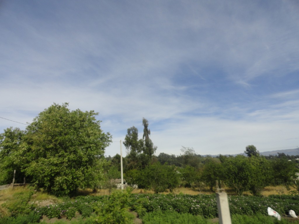 Foto: Paisaje - Chimborazo, Ecuador