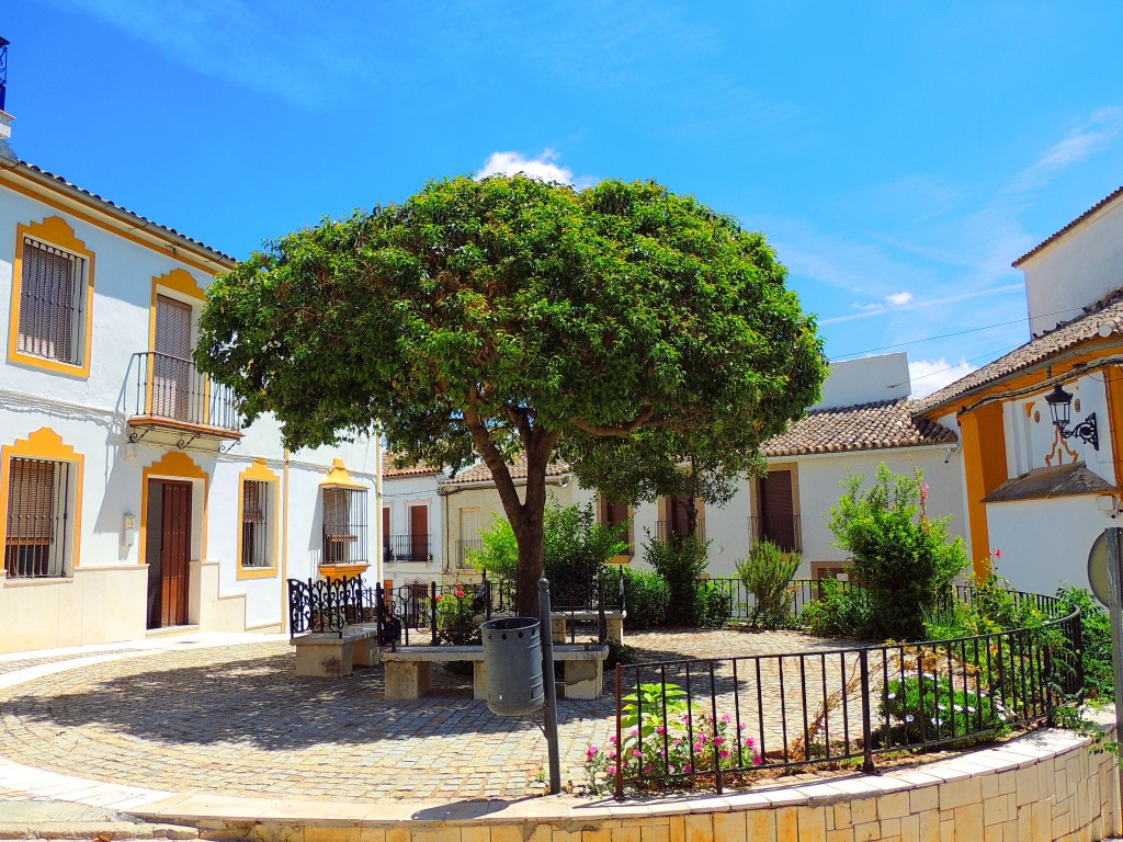 Foto de El Saucejo (Sevilla), España