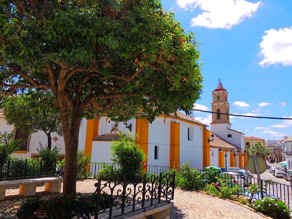 Foto de El Saucejo (Sevilla), España