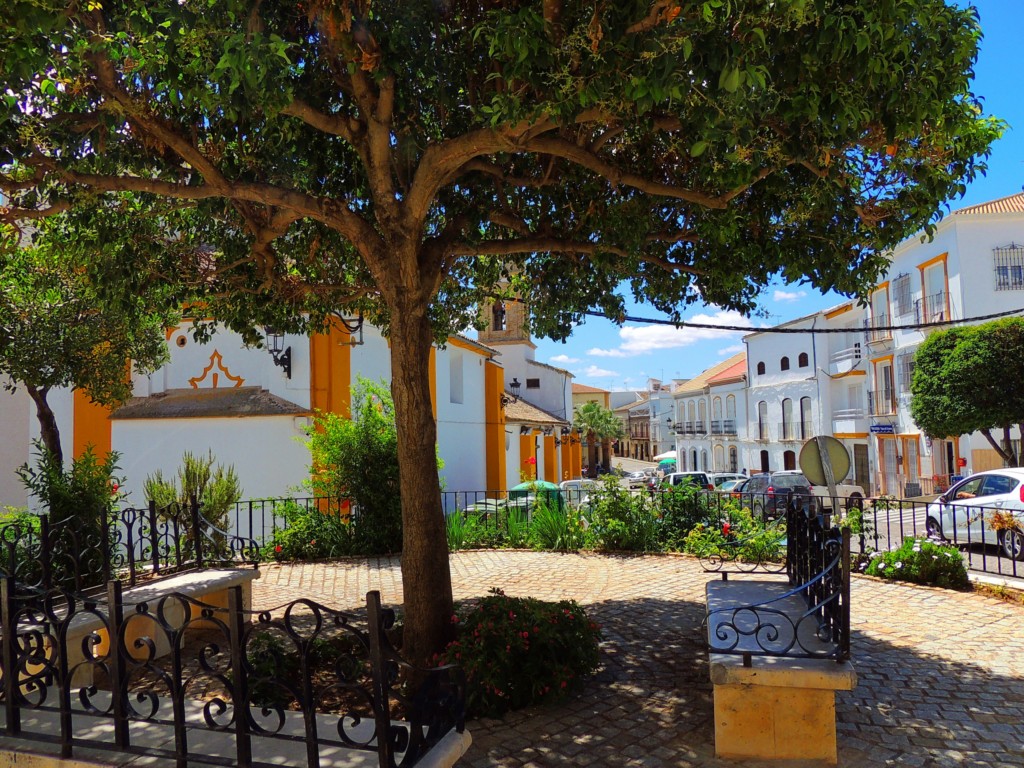 Foto de El Saucejo (Sevilla), España