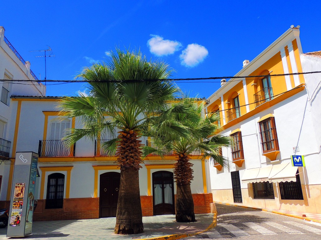 Foto de El Saucejo (Sevilla), España