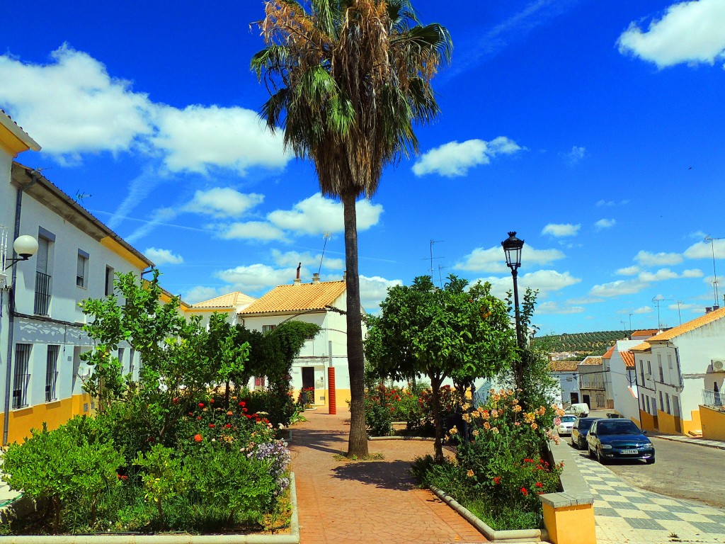 Foto de El Saucejo (Sevilla), España