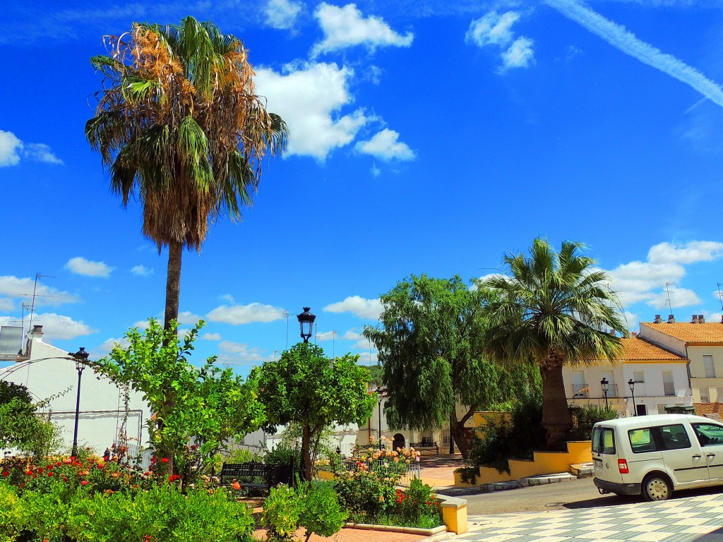 Foto de El Saucejo (Sevilla), España