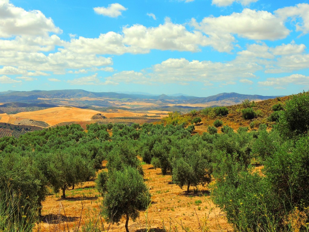 Foto de El Saucejo (Sevilla), España