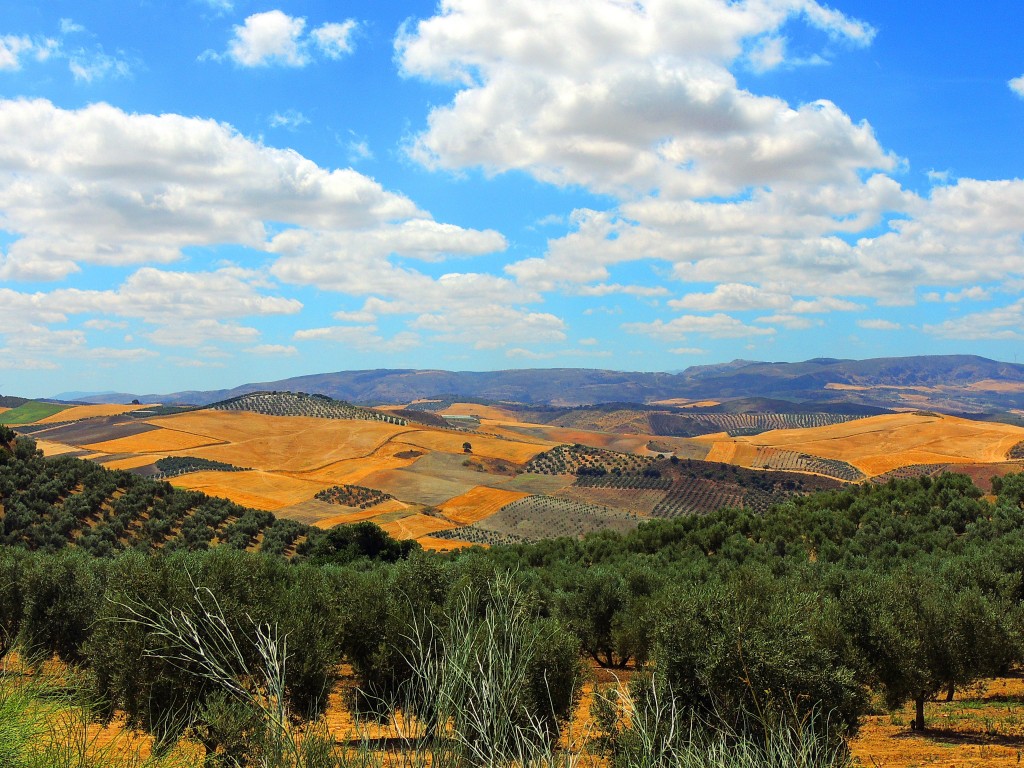 Foto de El Saucejo (Sevilla), España