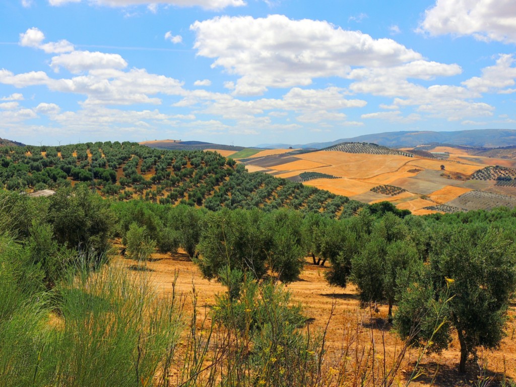 Foto de El Saucejo (Sevilla), España