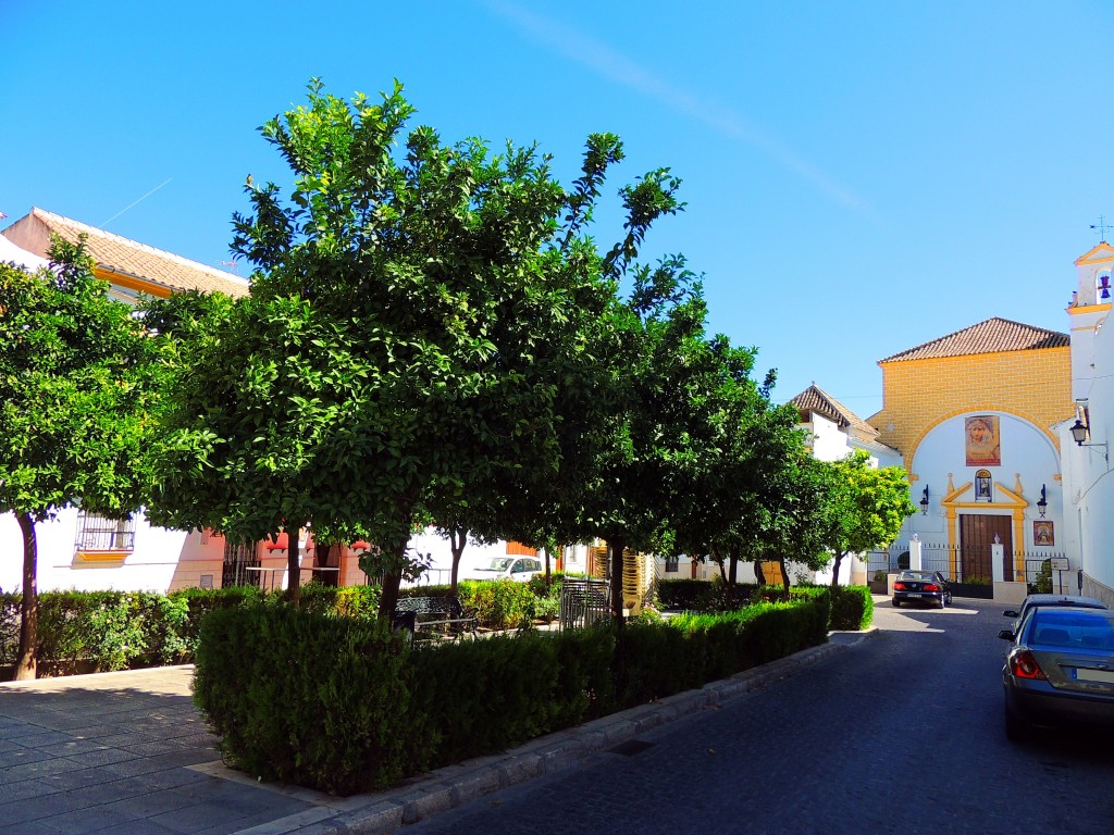 Foto de Osuna (Sevilla), España