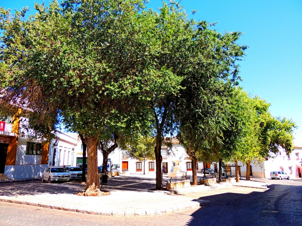 Foto de Osuna (Sevilla), España