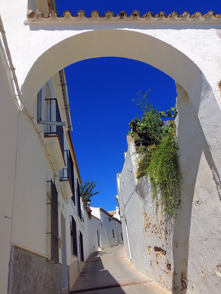 Foto de Osuna (Sevilla), España
