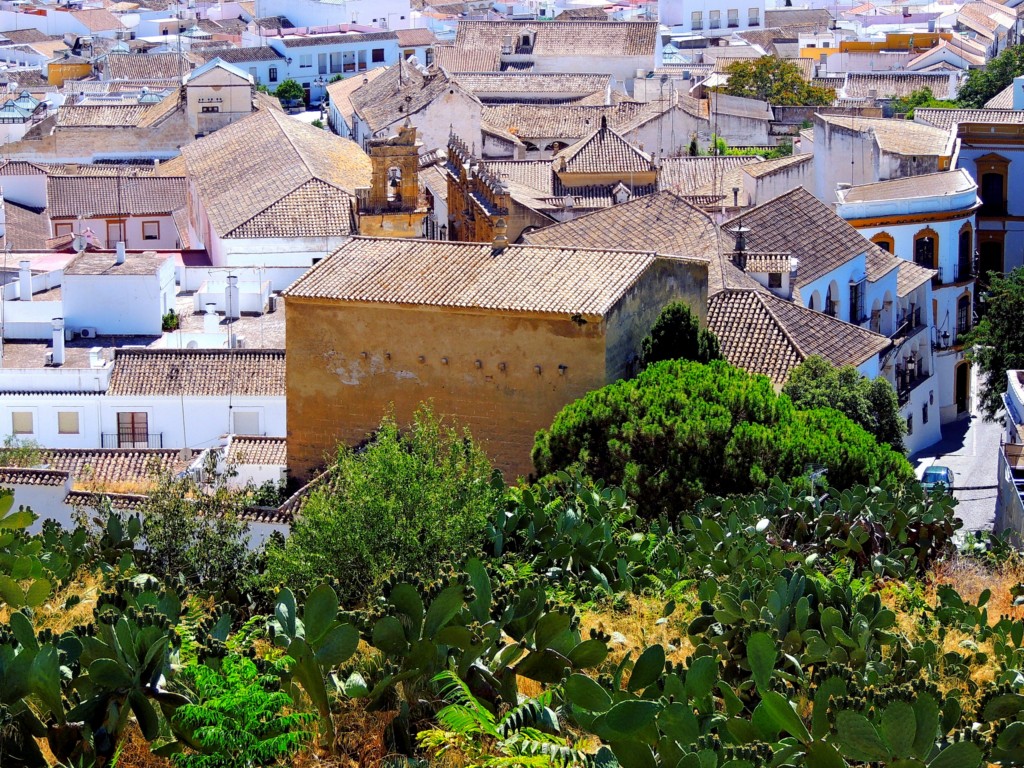 Foto de Osuna (Sevilla), España