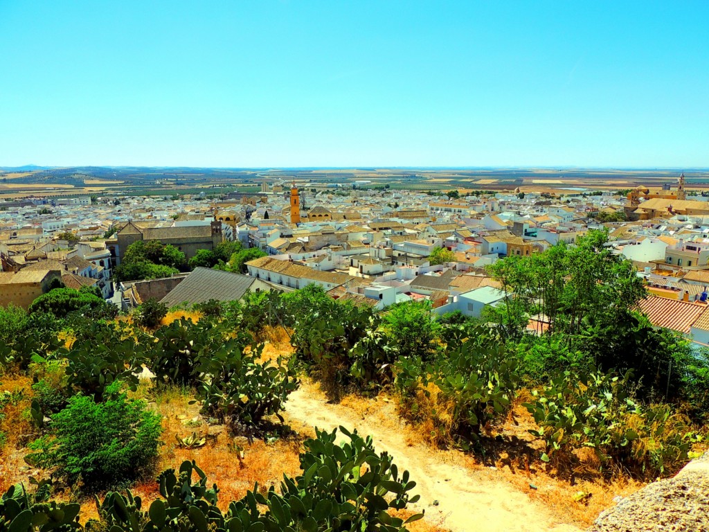 Foto de Osuna (Sevilla), España