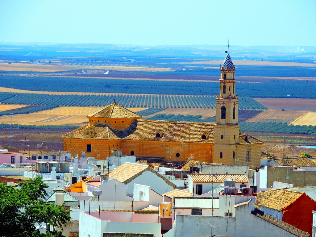 Foto de Osuna (Sevilla), España