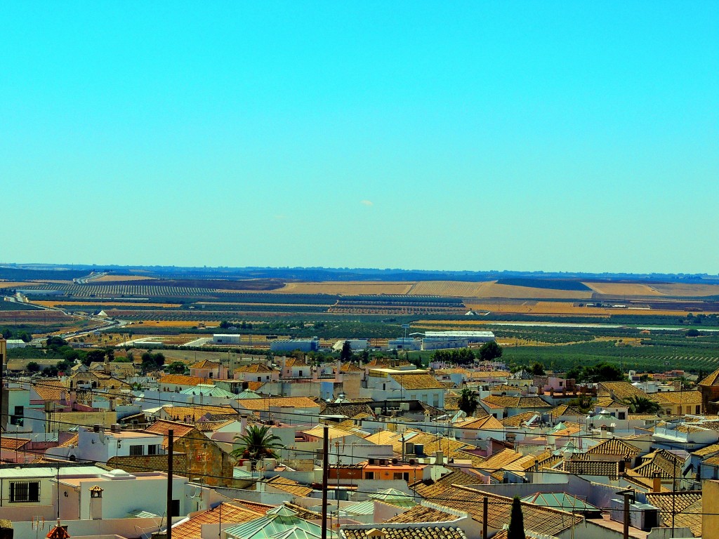 Foto de Osuna (Sevilla), España