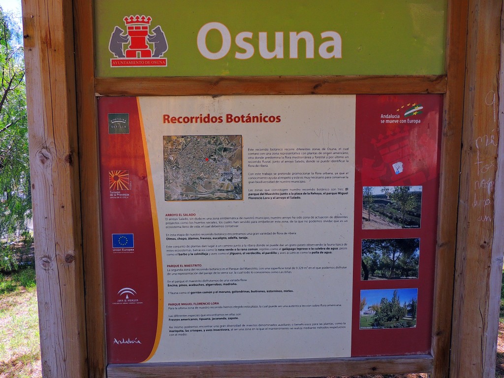 Foto de Osuna (Sevilla), España