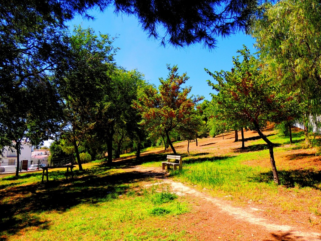 Foto de Osuna (Sevilla), España