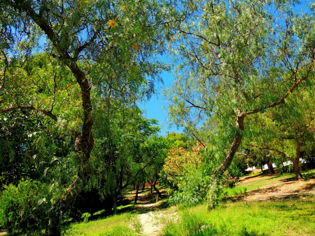 Foto de Osuna (Sevilla), España