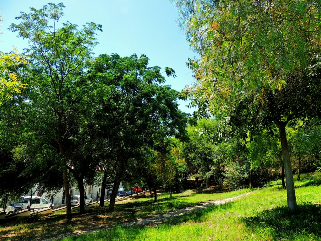 Foto de Osuna (Sevilla), España