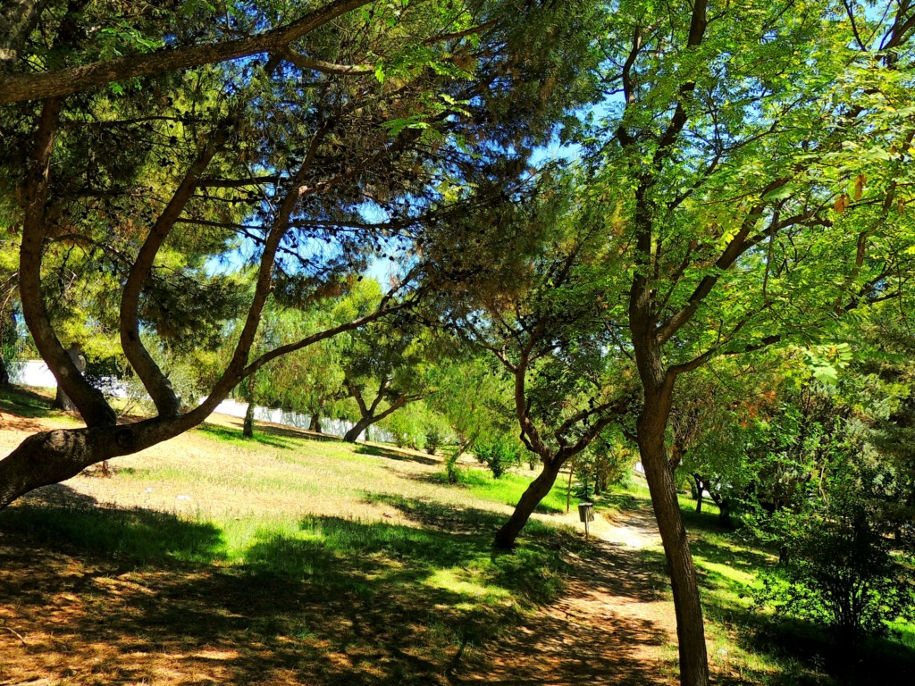 Foto de Osuna (Sevilla), España