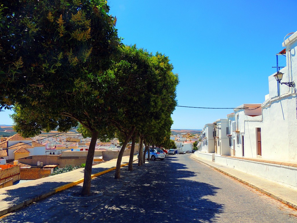 Foto de Osuna (Sevilla), España