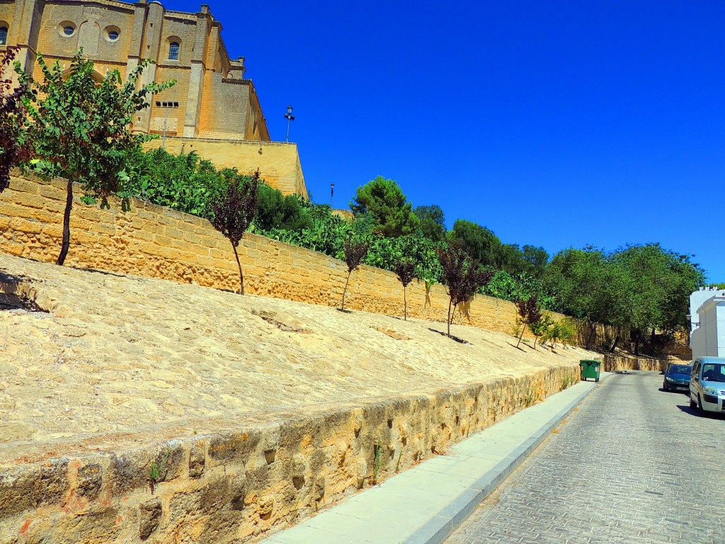 Foto de Osuna (Sevilla), España