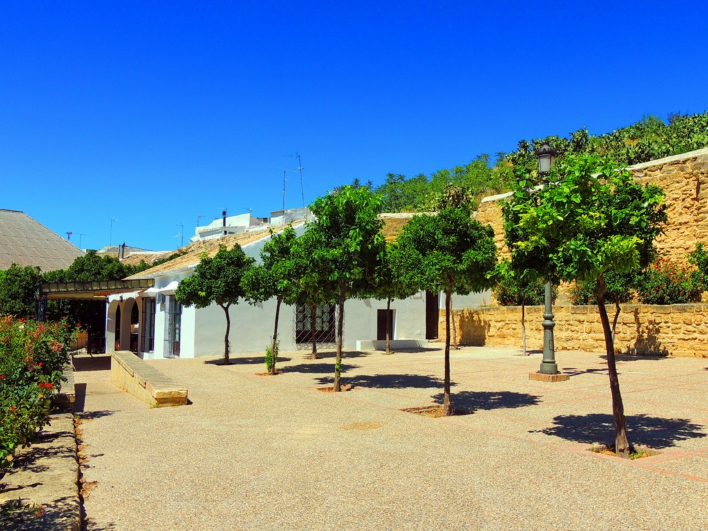 Foto de Osuna (Sevilla), España