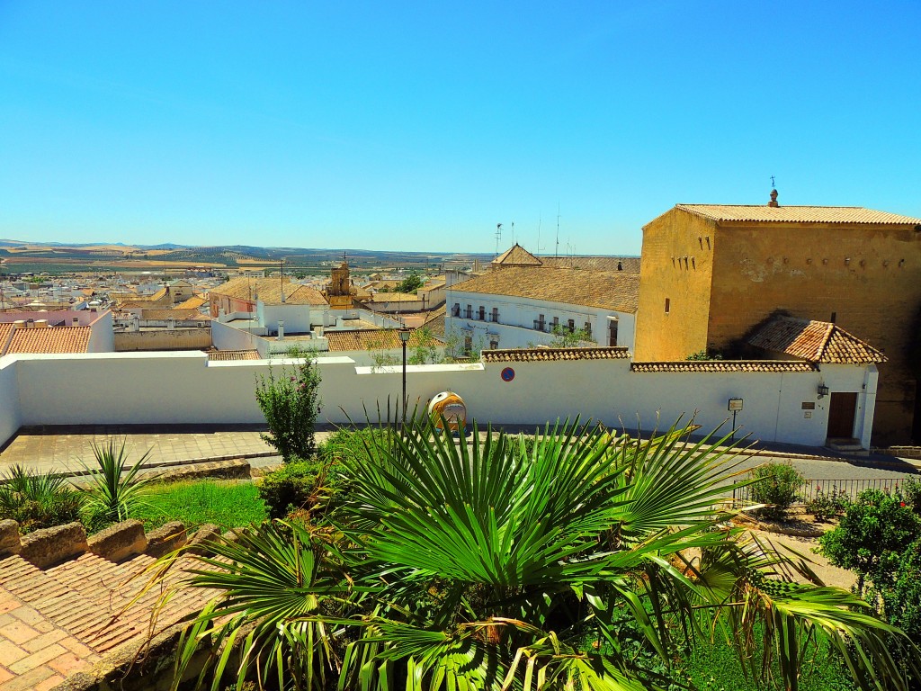 Foto de Osuna (Sevilla), España