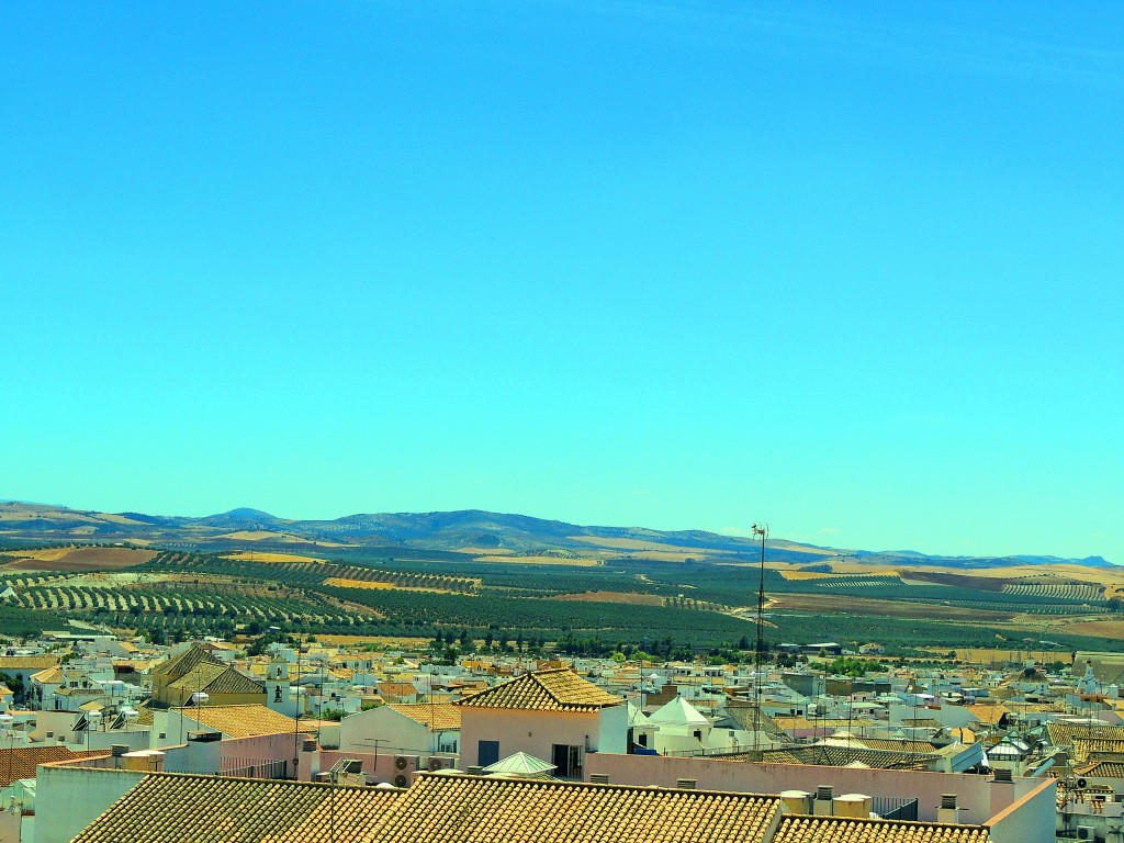 Foto de Osuna (Sevilla), España