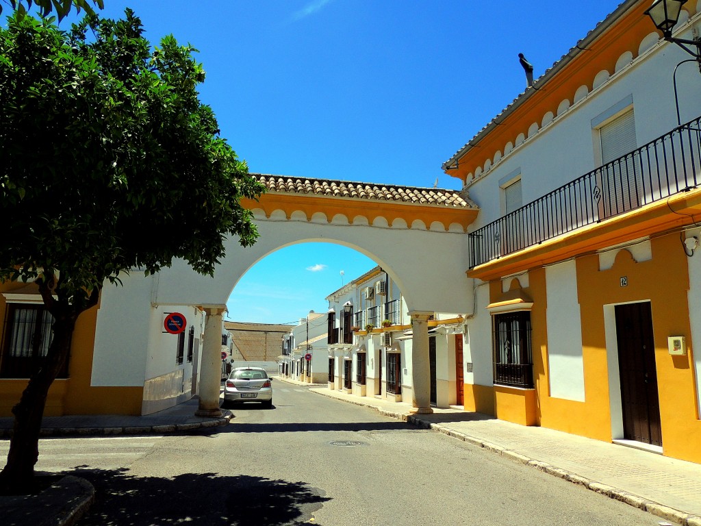 Foto de Osuna (Sevilla), España