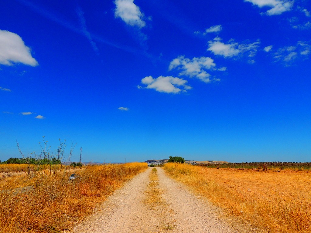 Foto de Osuna (Sevilla), España