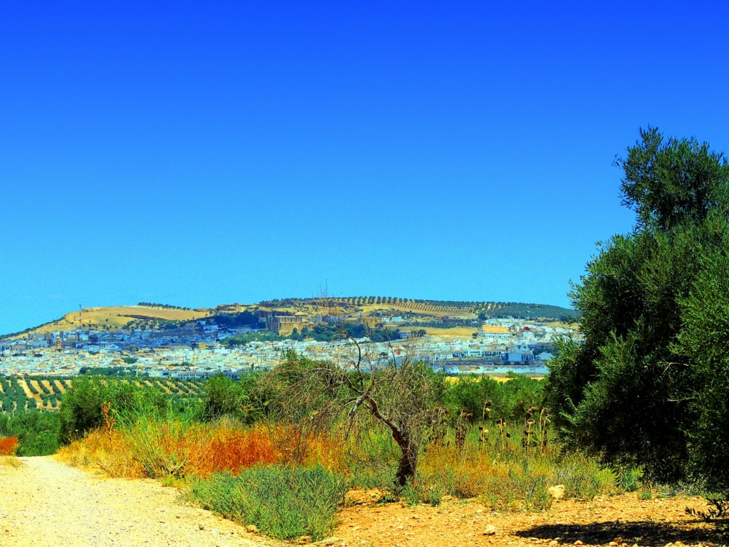 Foto de Osuna (Sevilla), España